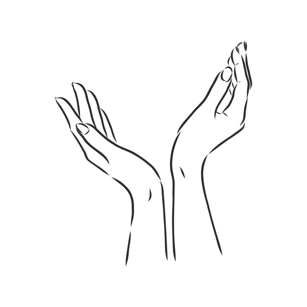 hands vector sketch