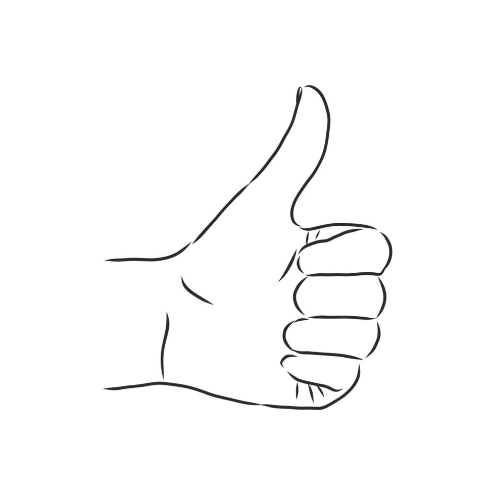 hands vector sketch