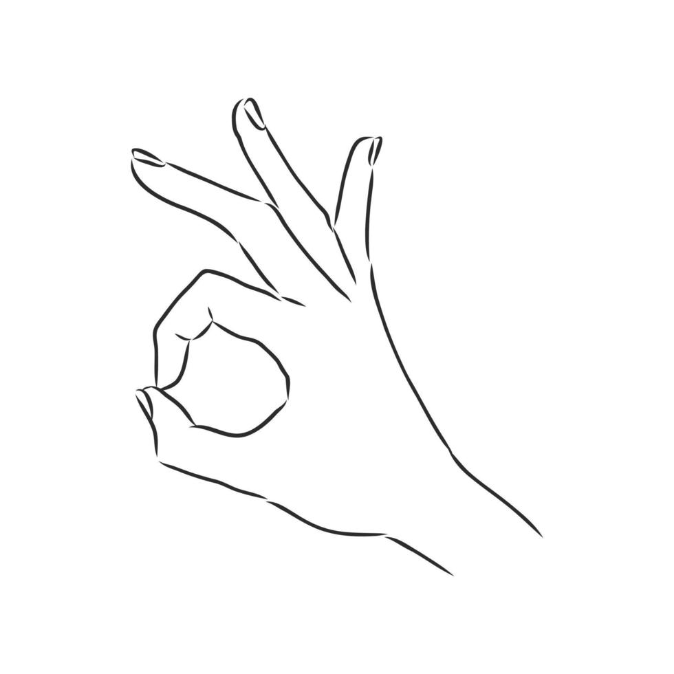 hands vector sketch
