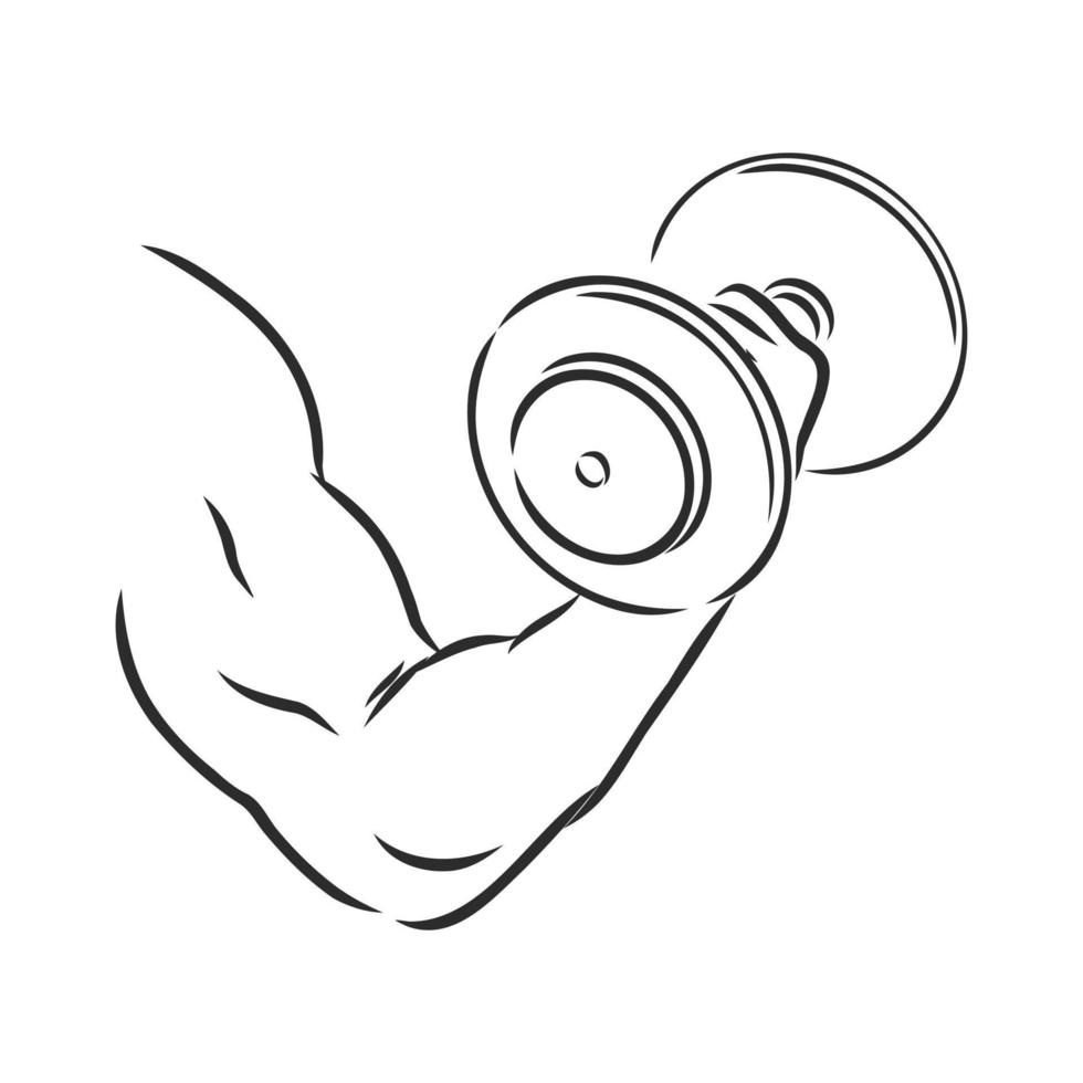 dumbbells vector sketch