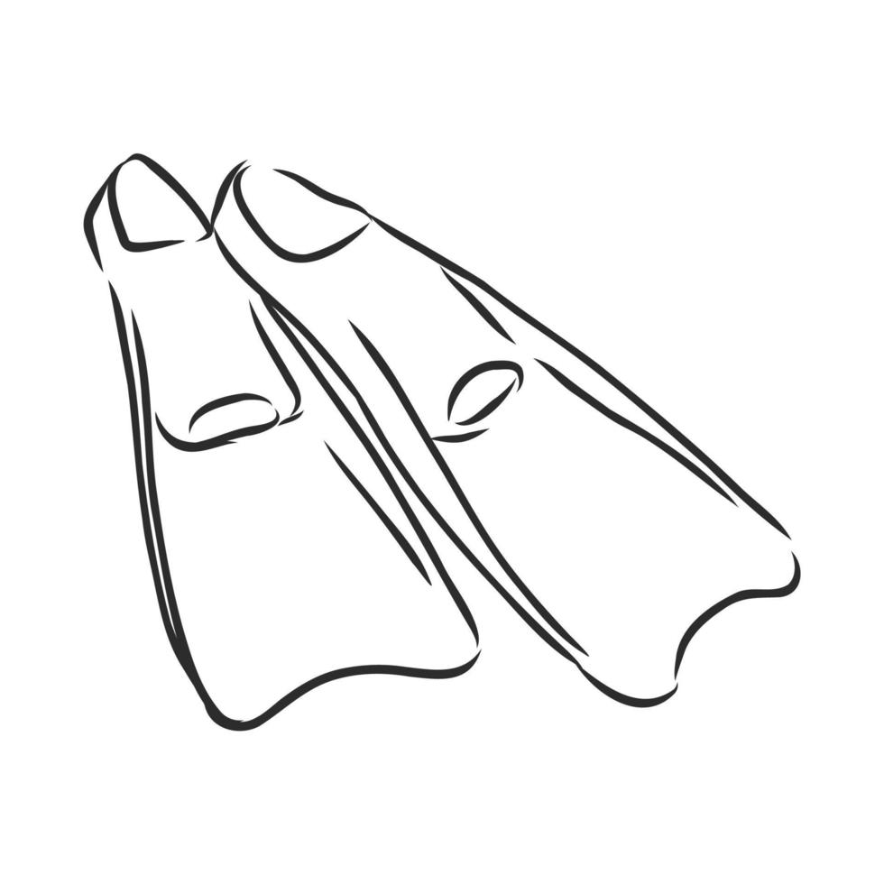 fins for swimming vector sketch