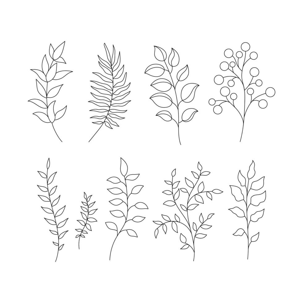 set of leaves vector line illustration
