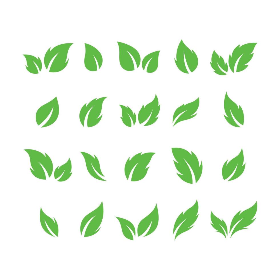 set of green leaves vector illustration