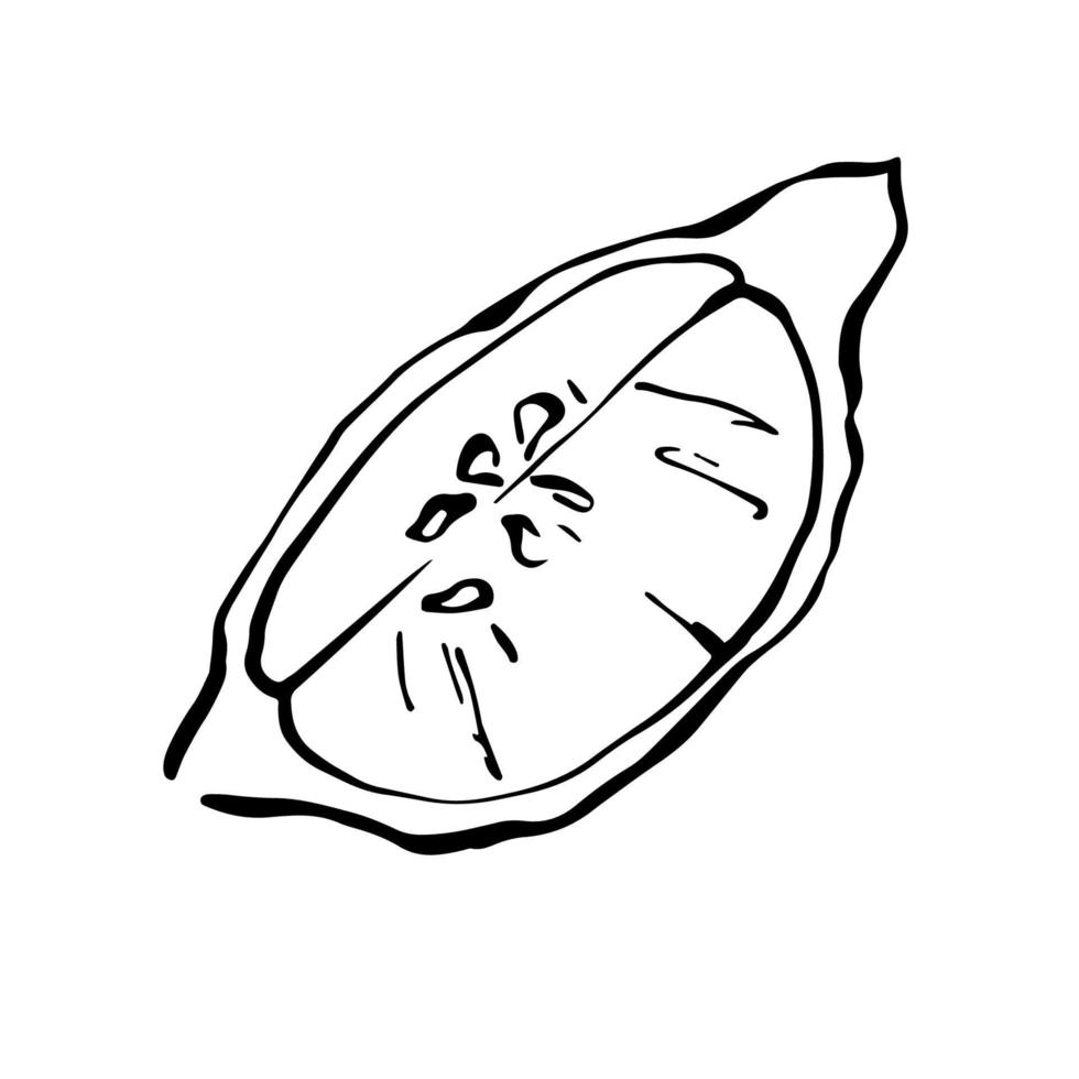 Hand drawn cut lemon half black and white vector illustration.