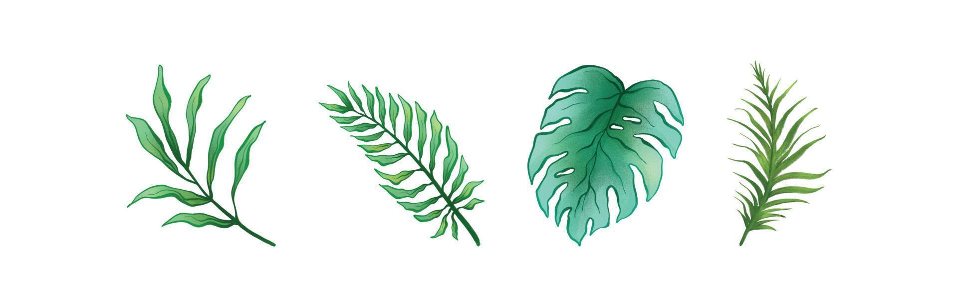 hojas tropicales para la temporada de verano conjunto de acuarela 02 vector
