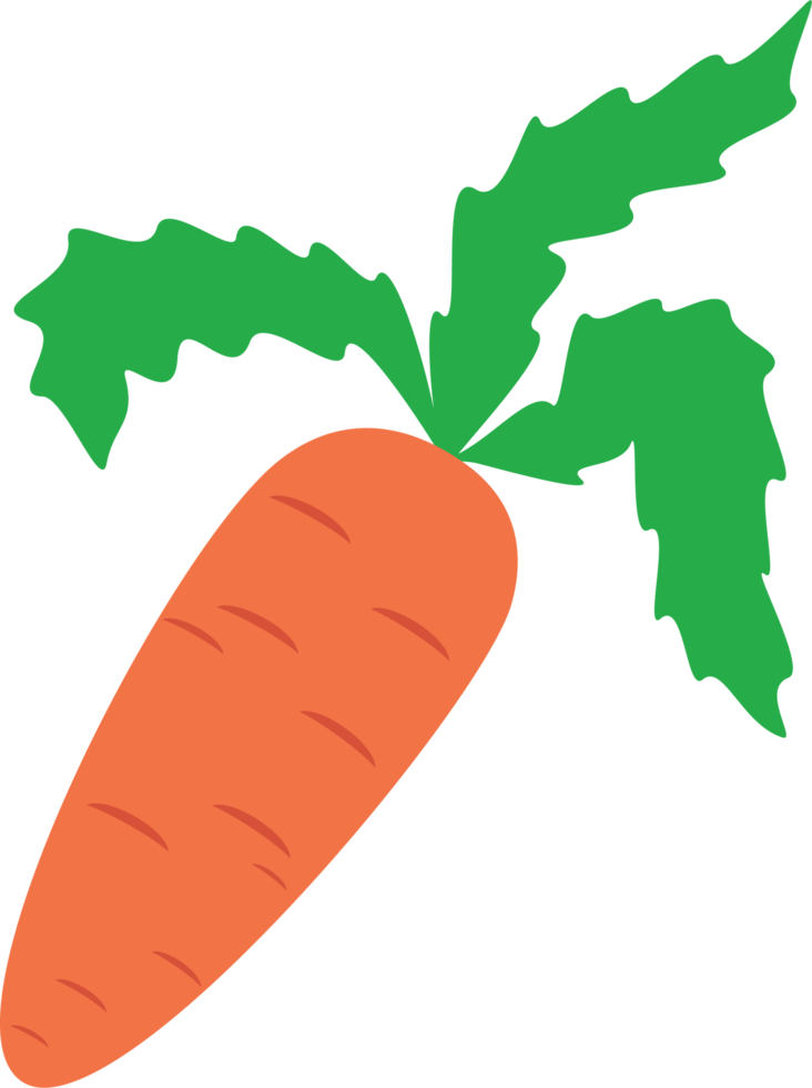 Free Big orange carrot 16778930 PNG with Transparent Background