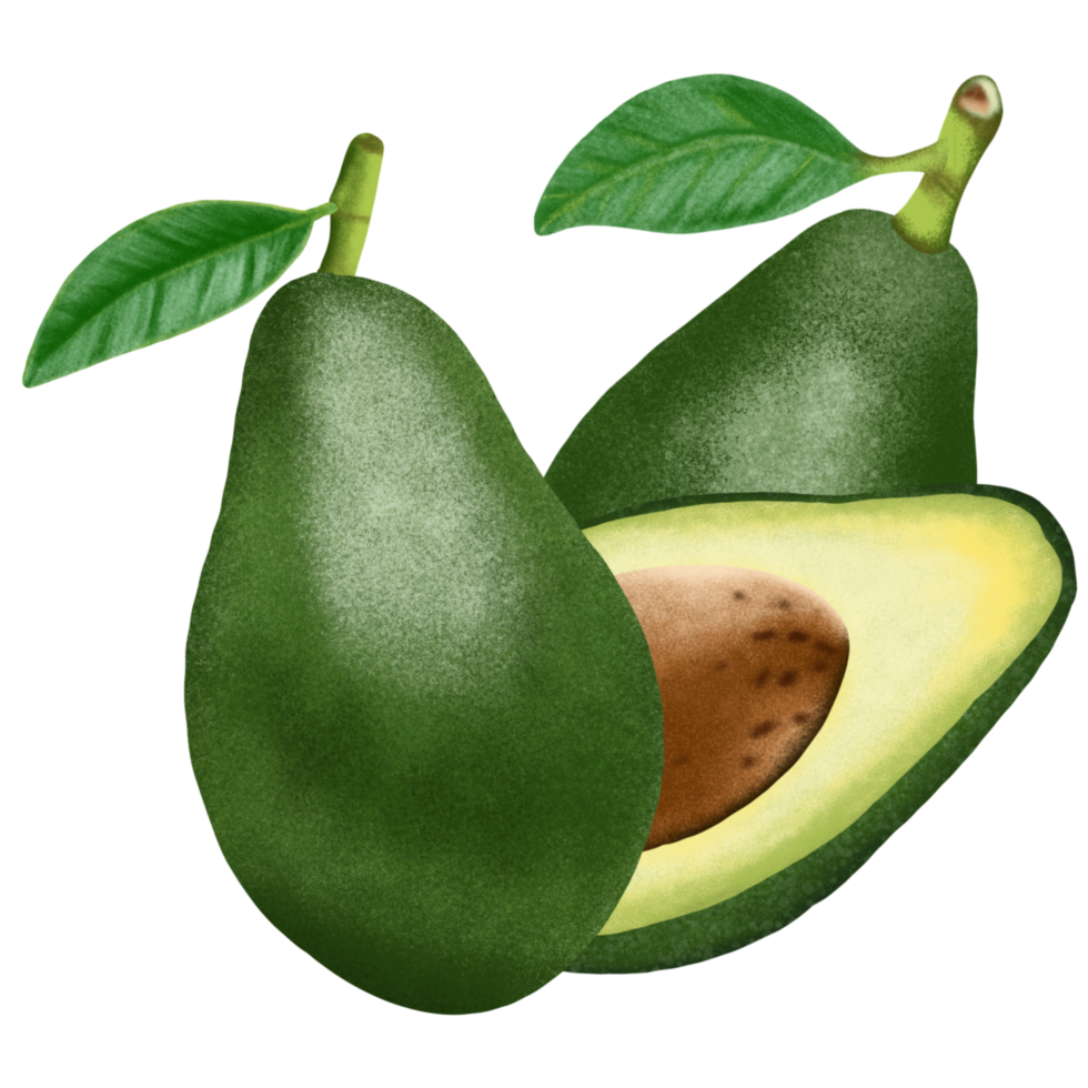 ilustração de fruta abacate. png