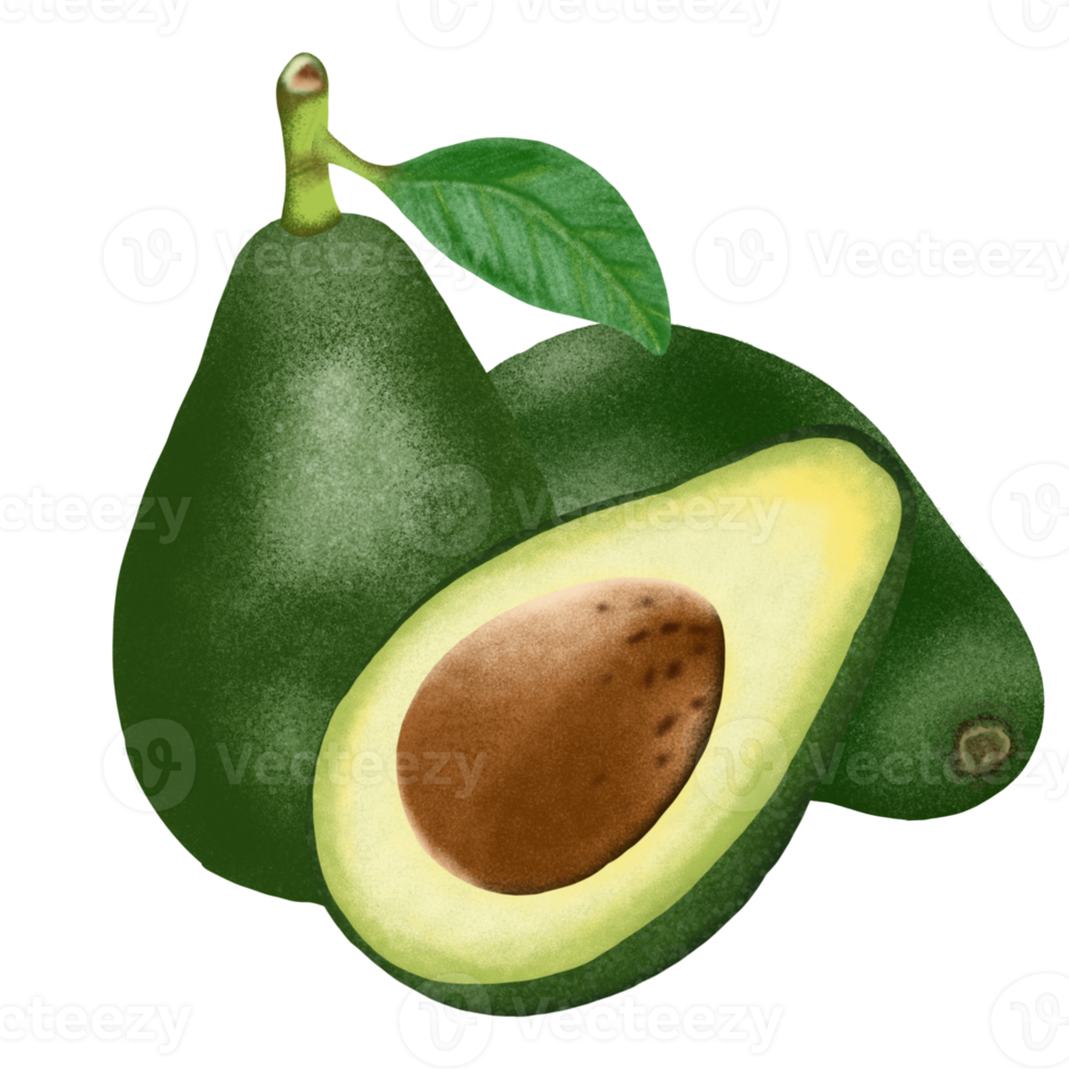 ilustración de fruta de aguacate. png