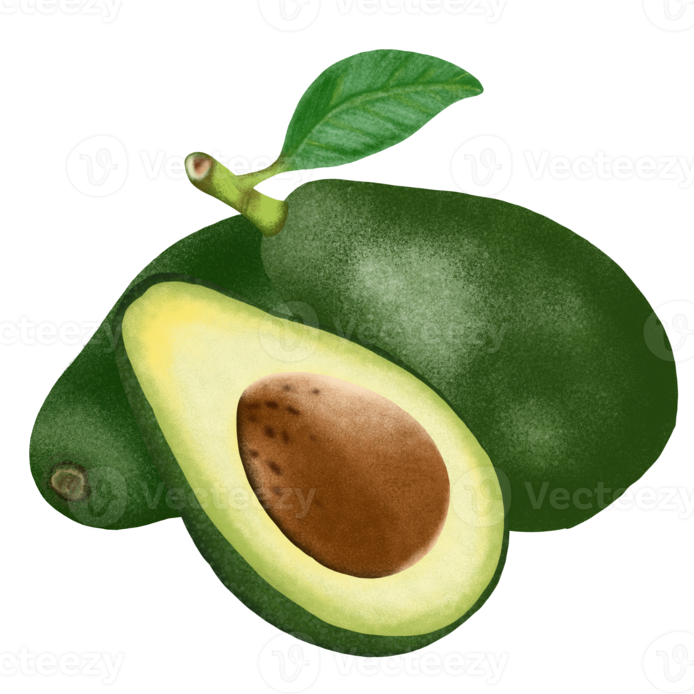 ilustração de fruta abacate. png