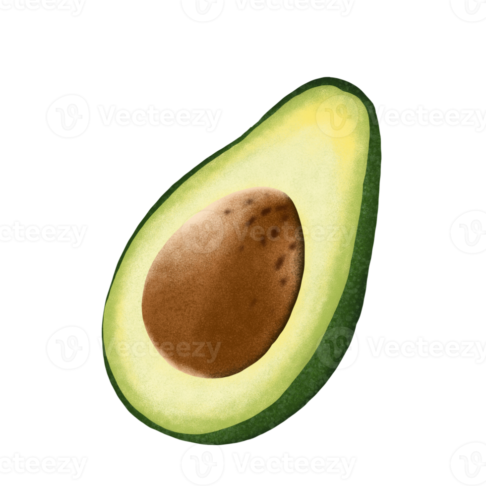 Avocado fruit illustration. png