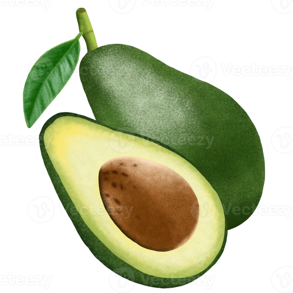 illustration de fruits d'avocat. png