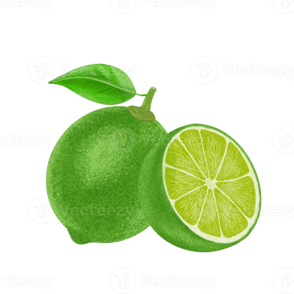 Green lemon illustration, color painting. png