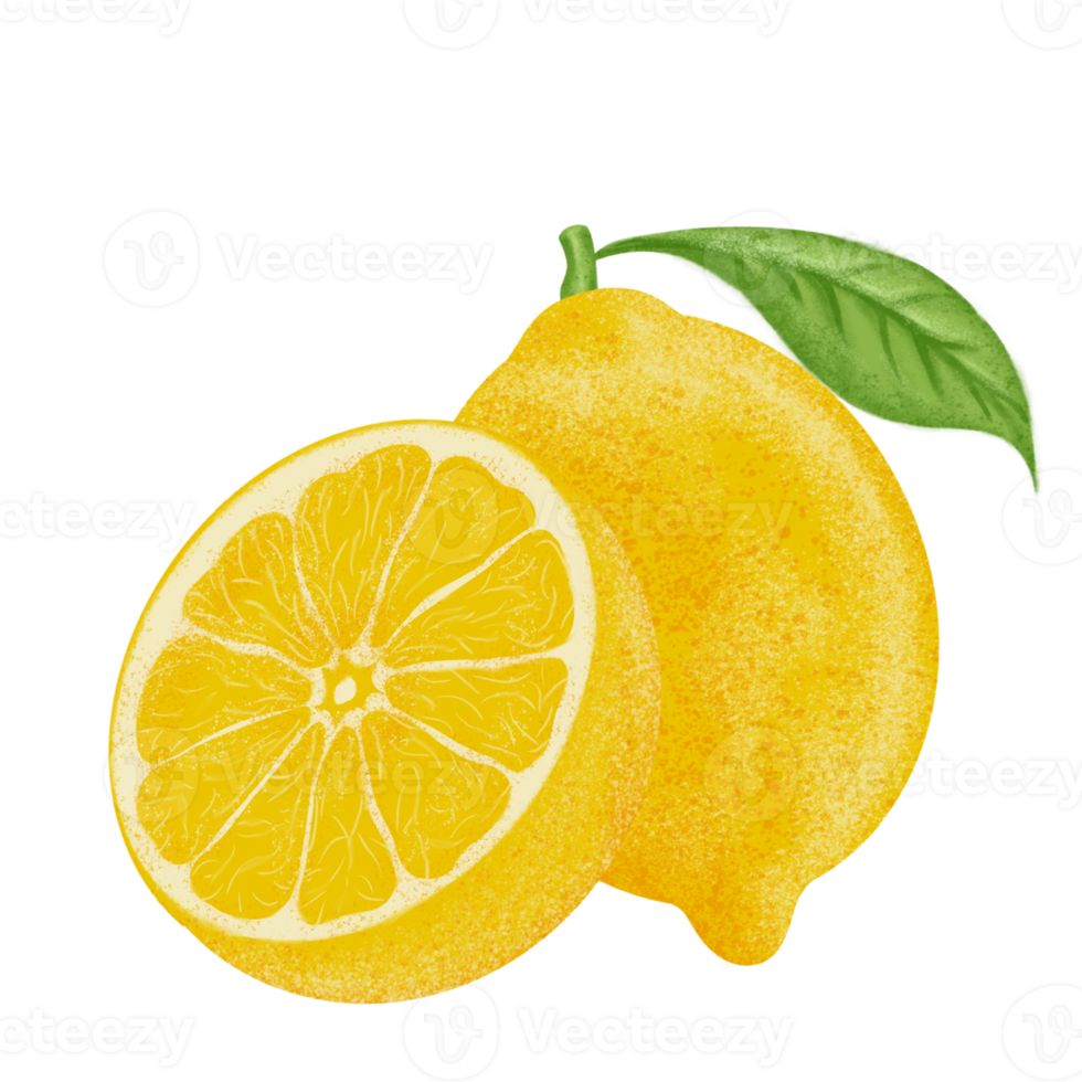 Lemon illustration, color painting. png