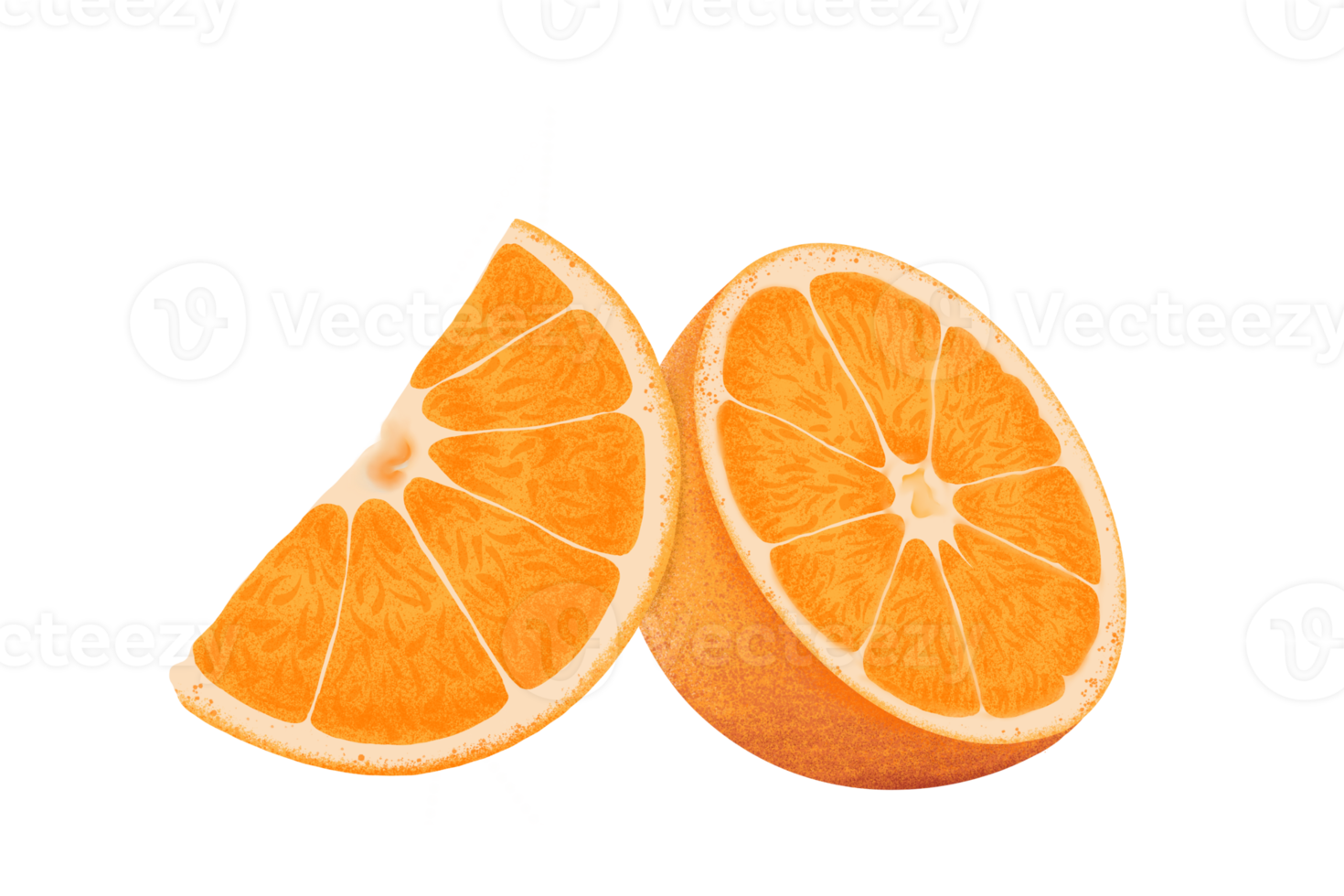 Orange illustration, color painting. png