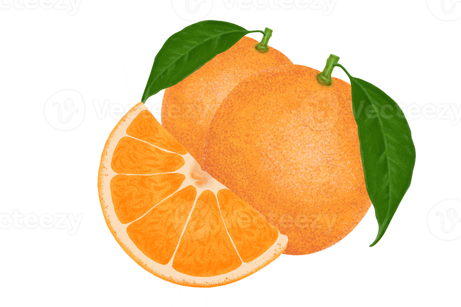 Orange illustration, color painting. png
