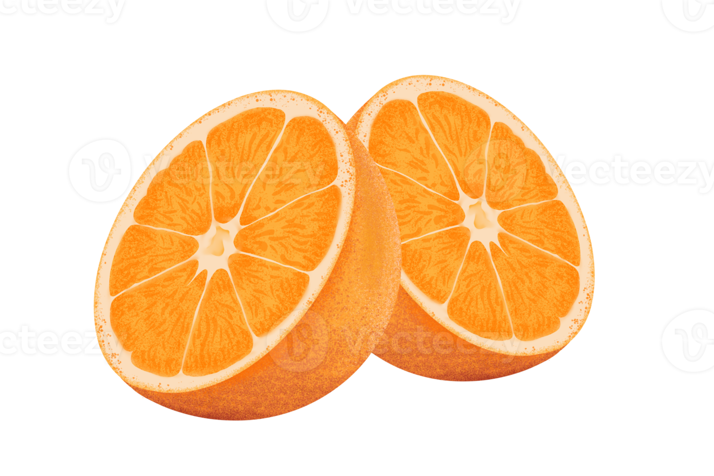 Orange illustration, color painting. png