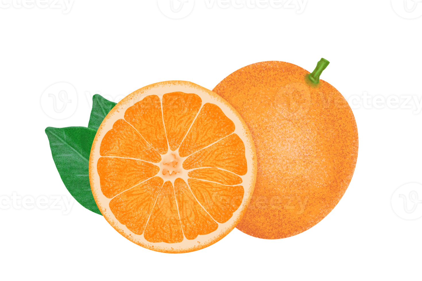 orange illustration, Färg målning. png