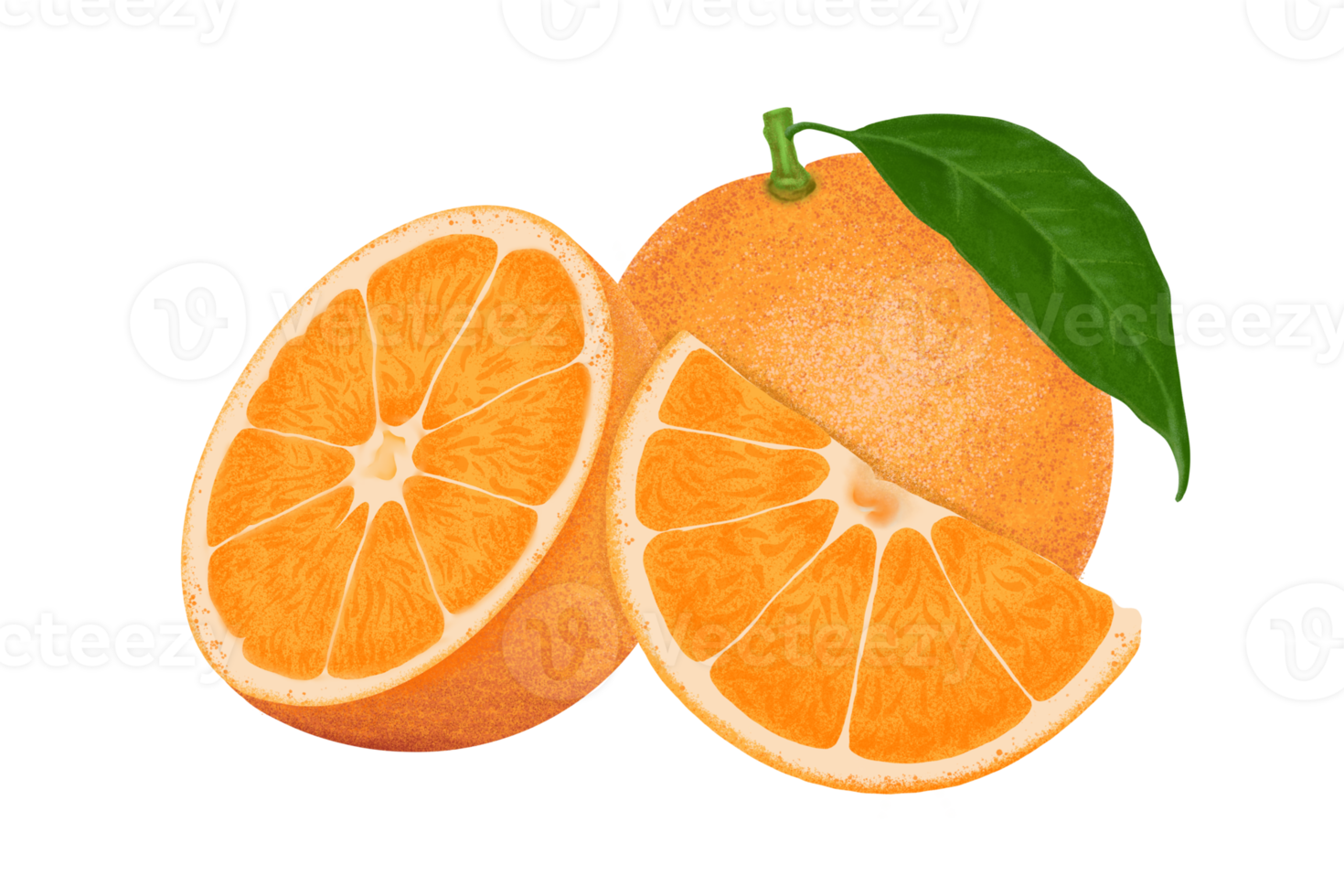 Orange illustration, color painting. png