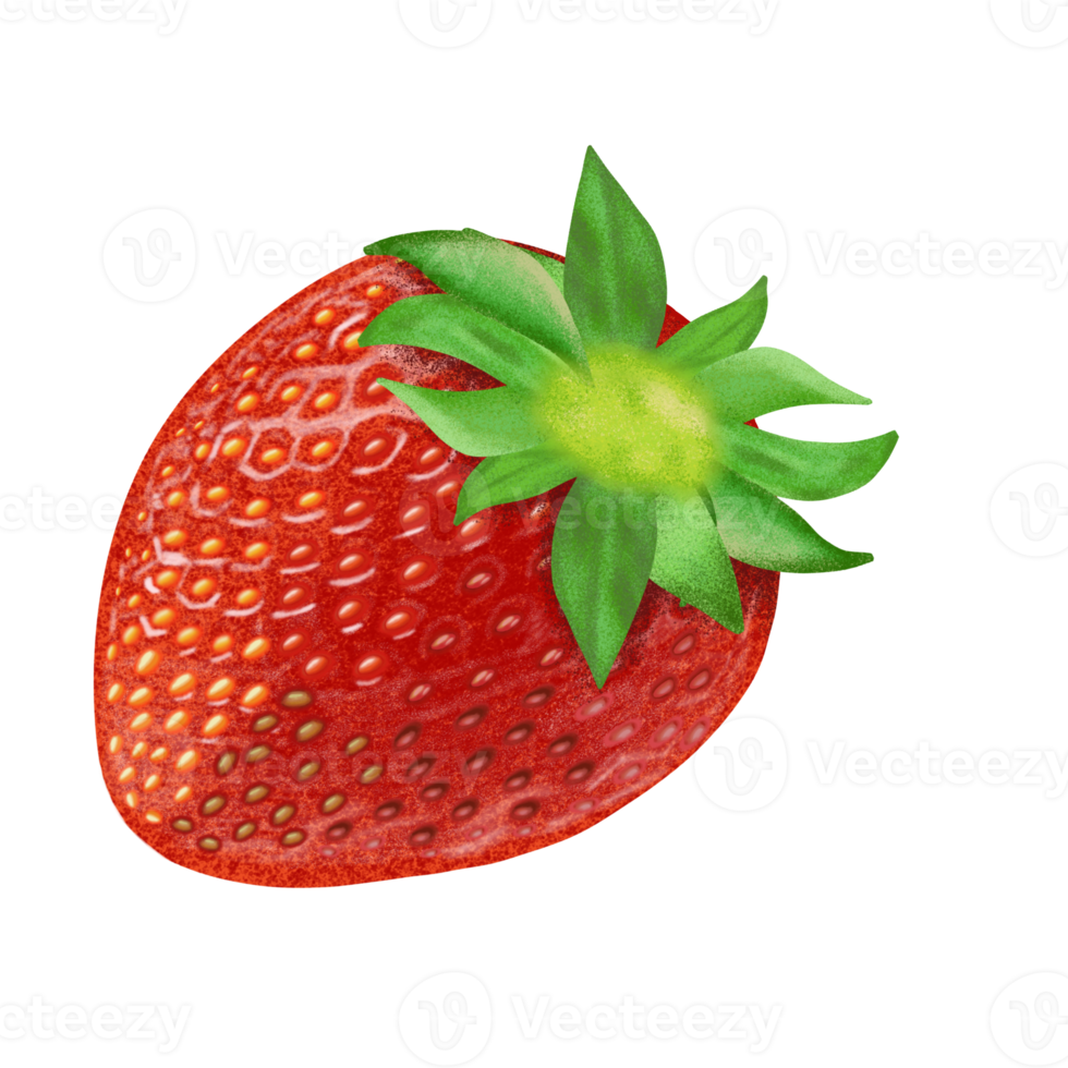 Strawberry fresh fruit illustration, color painting. png