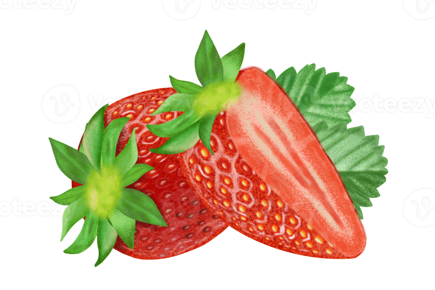 Strawberry fresh fruit illustration, color painting. png
