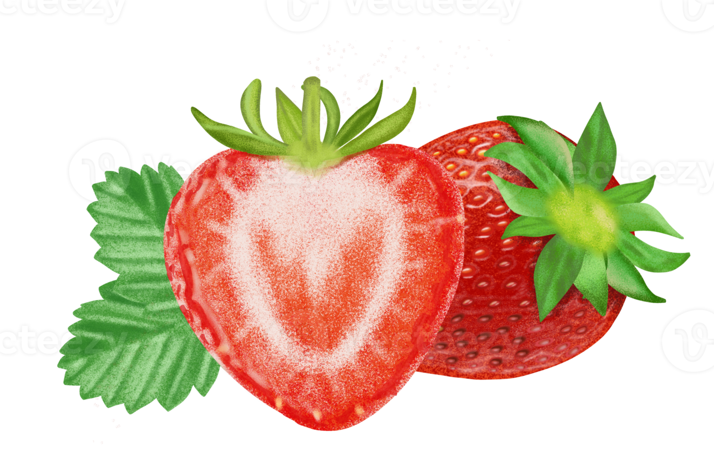 Strawberry fresh fruit illustration, color painting. png