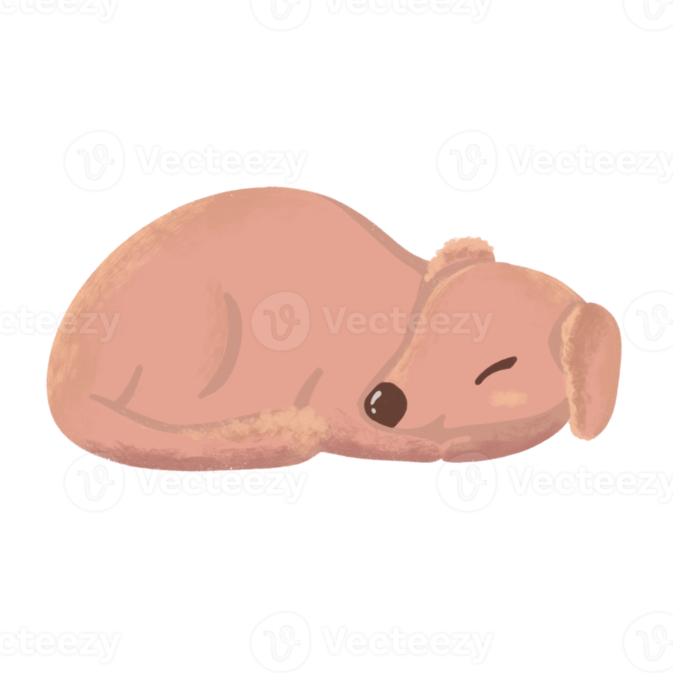 Cute Dog Sleeping Hand Drawn png