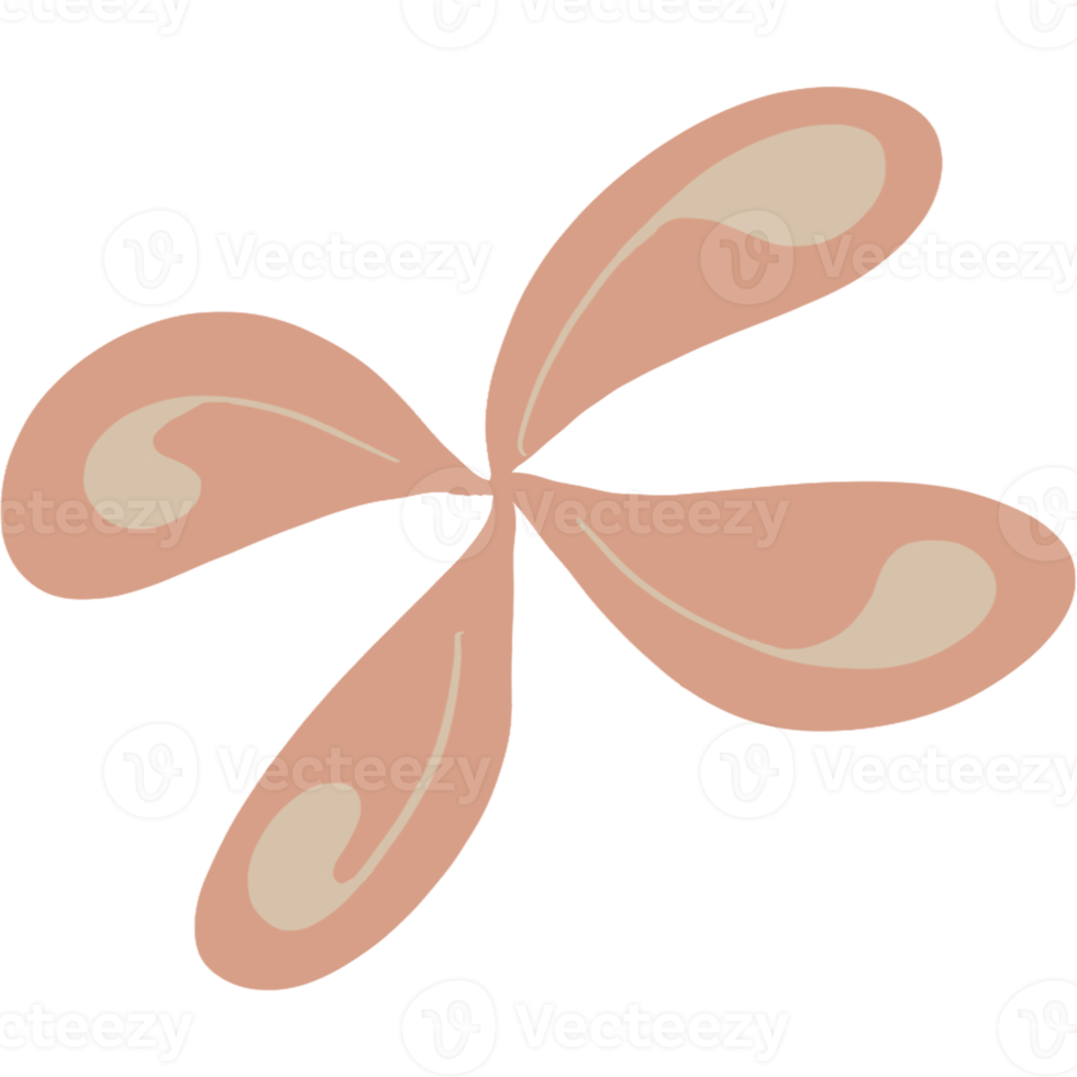 estética de forma de flor bohemia png