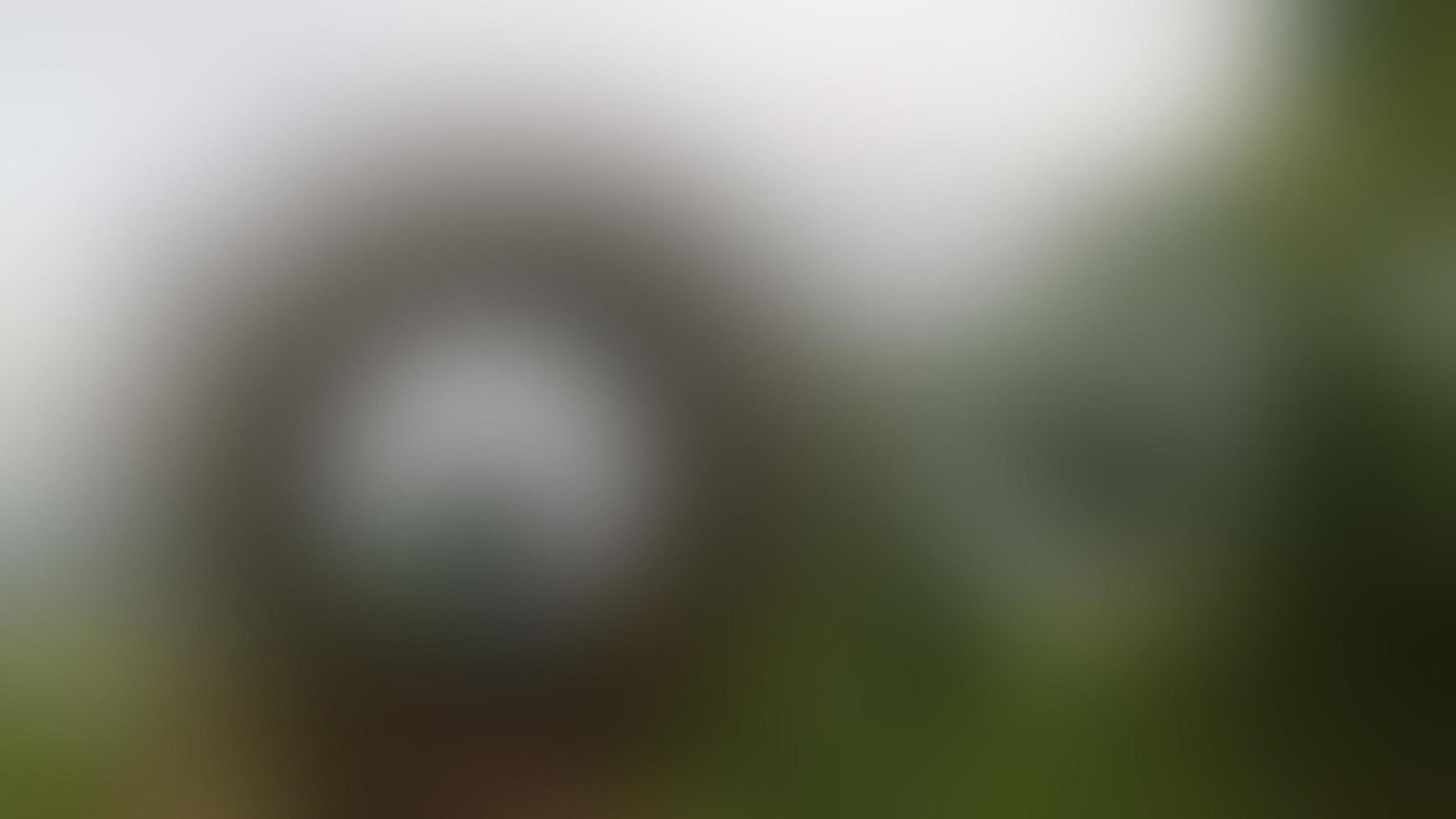 defocused Adorable brothers and sisters at a tourist place photo