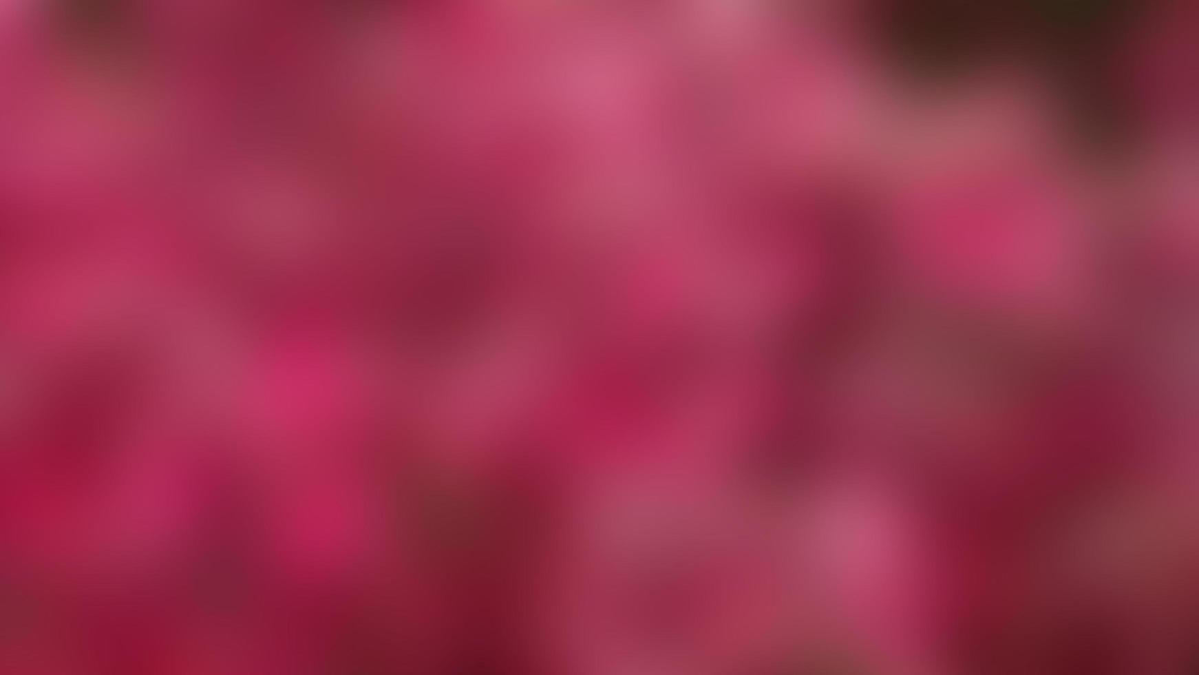 defocused beautiful red leaves as the background photo