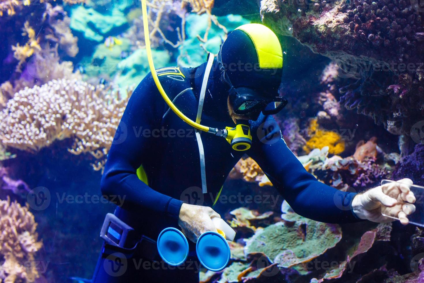 Cleaning a huge aquarium, aquarium cleaner photo