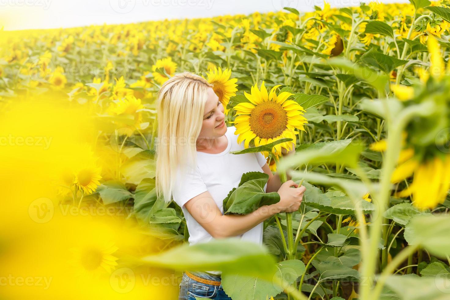 young red-haired woman in a field of sunflowers and sweet smiles. sunset light in the field of sunflowers photo