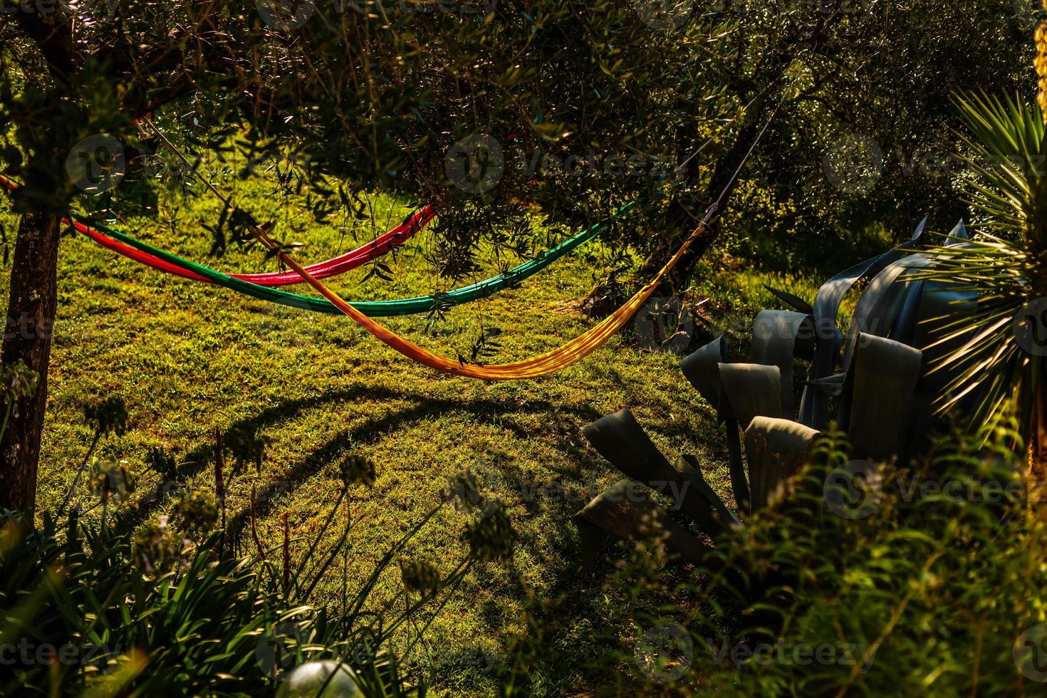 Hammock out on sunny yard near flower garden photo