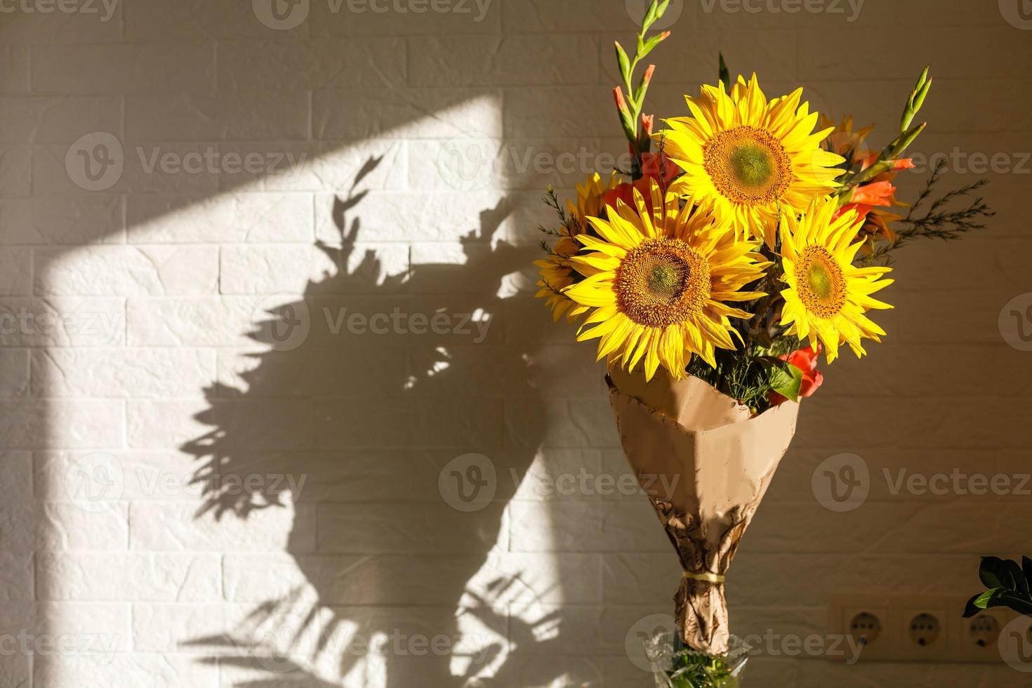 Beautiful sunflowers in a vase photo