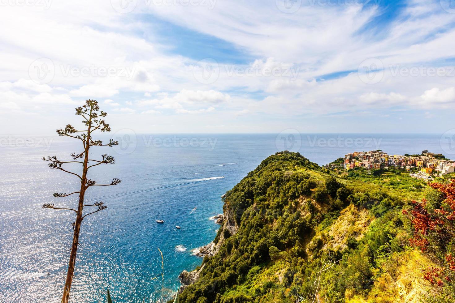 Scenic view of colorful houses in Cinque terre village Riomaggiore, Manarola photo