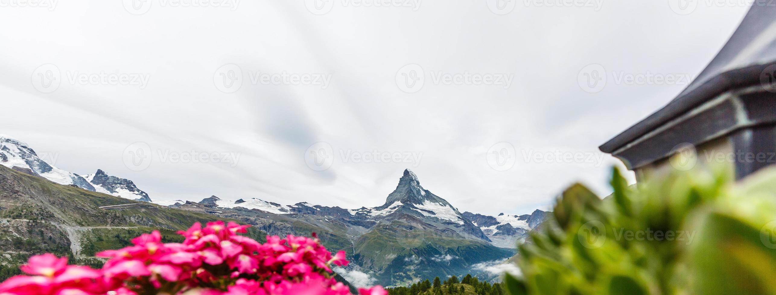 paisaje idílico en los alpes con prados verdes frescos y flores florecientes y cimas de montañas cubiertas de nieve en el fondo. foto