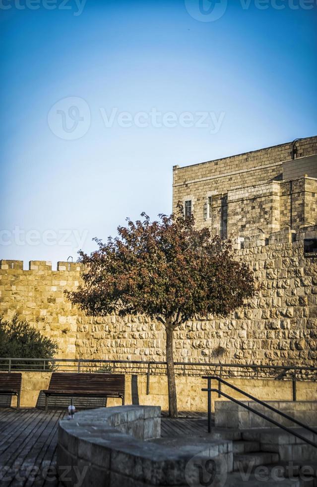 un árbol aislado contra un fondo de las murallas de la ciudad de Jerusalén foto