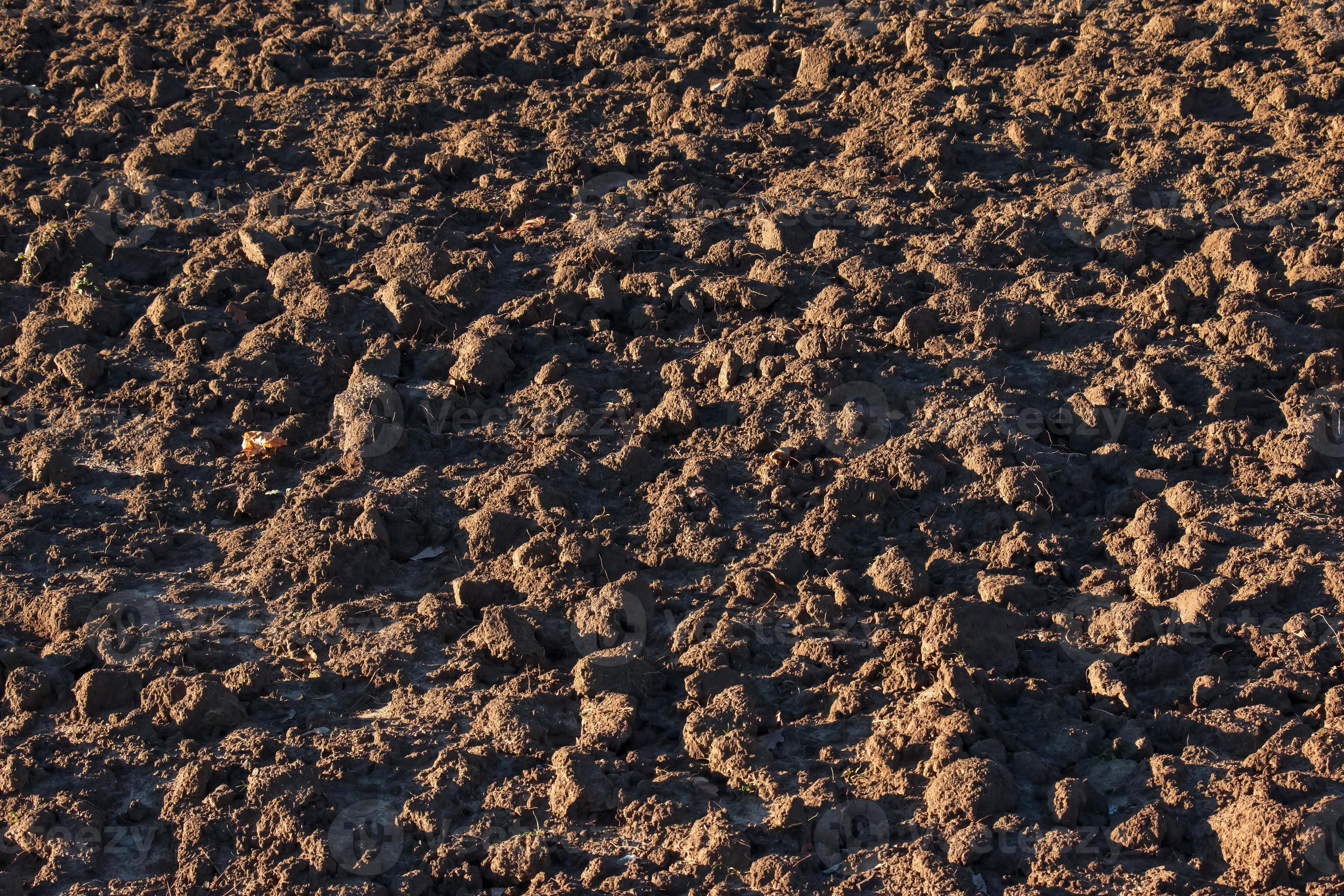 Soil texture background. Fertile soil suitable for planting. Plowed