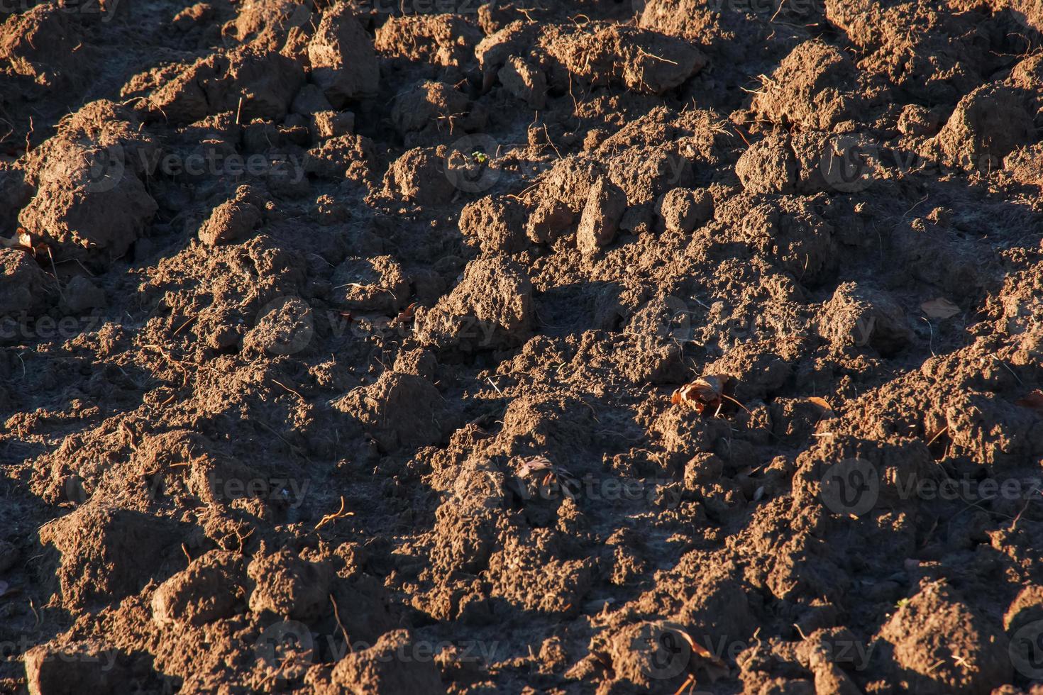 Soil texture background. Fertile soil suitable for planting. Plowed agricultural field, dry land close up. photo