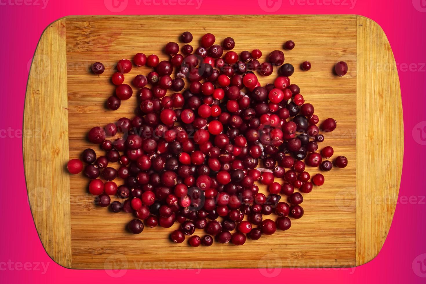 Fresh cranberries or Oxycoccus. Cranberries are rich in vitamins and minerals. Berries are used in medicine and cooking. photo