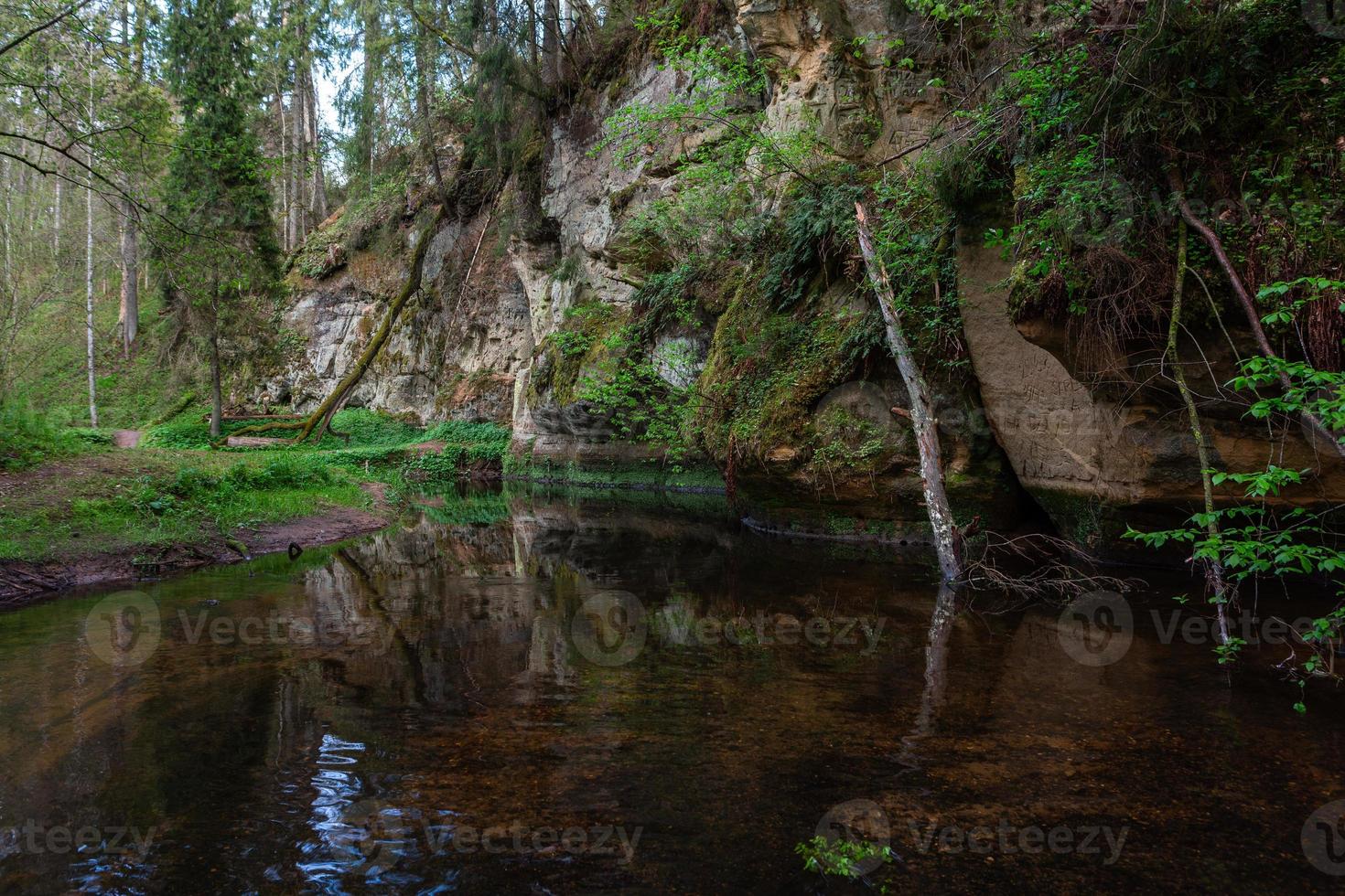 a Small Forest Stream With Sandstone Cliffs and Stones photo