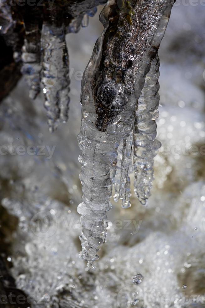 Icicles in a Small Forest River photo