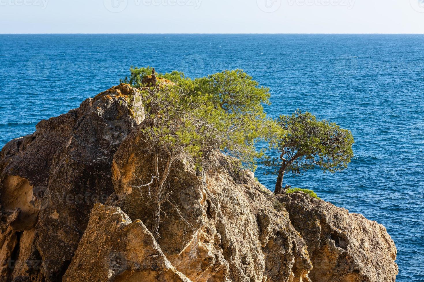 Views of Costa Brava Coast photo