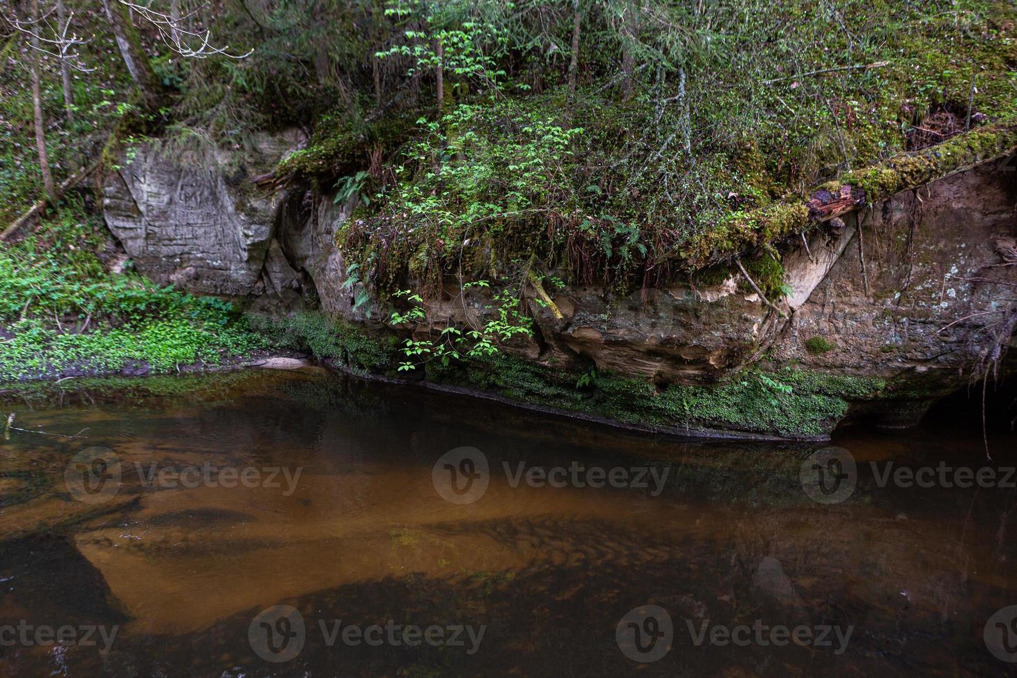 un pequeño arroyo forestal con acantilados de arenisca y piedras foto