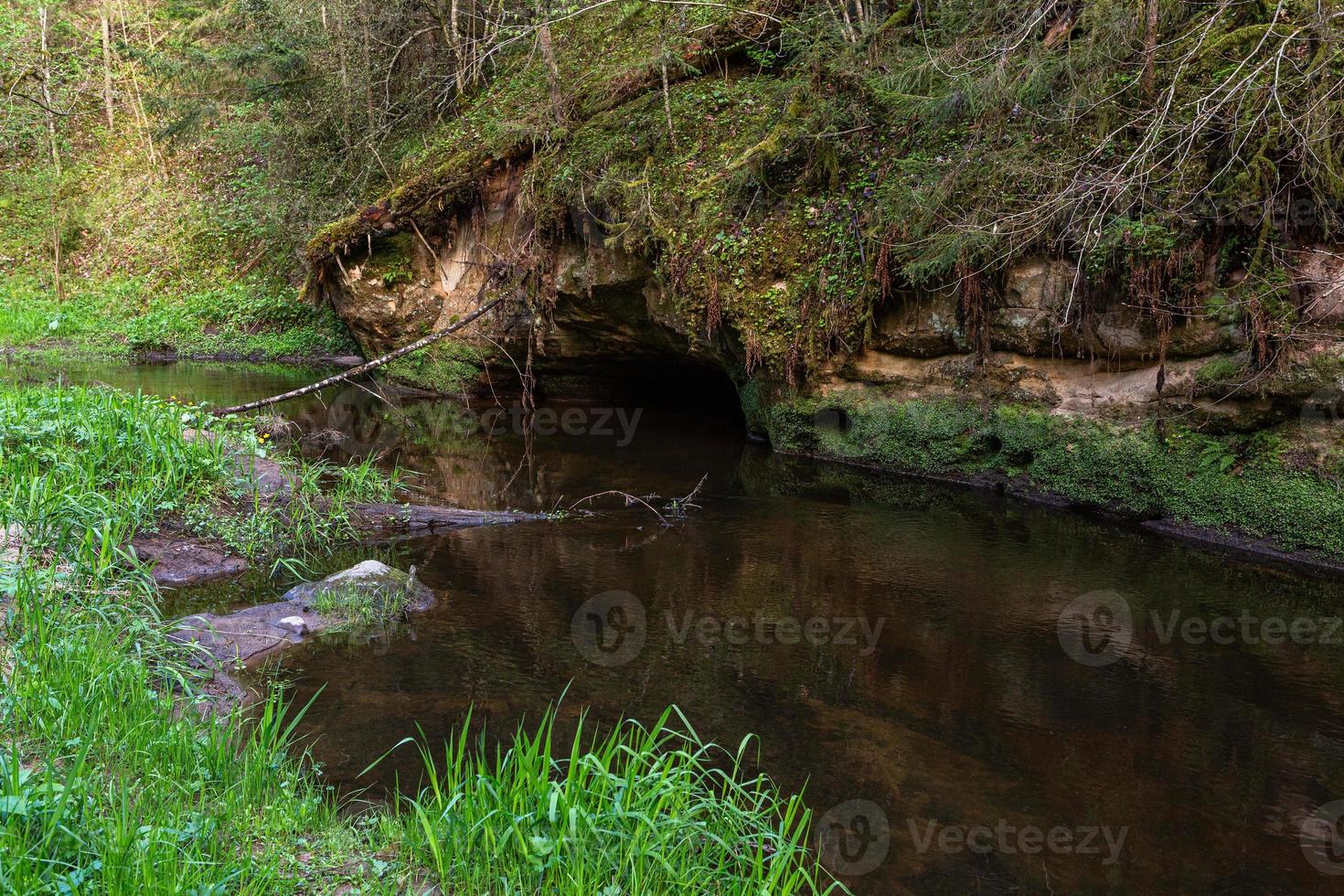 a Small Forest Stream With Sandstone Cliffs and Stones photo