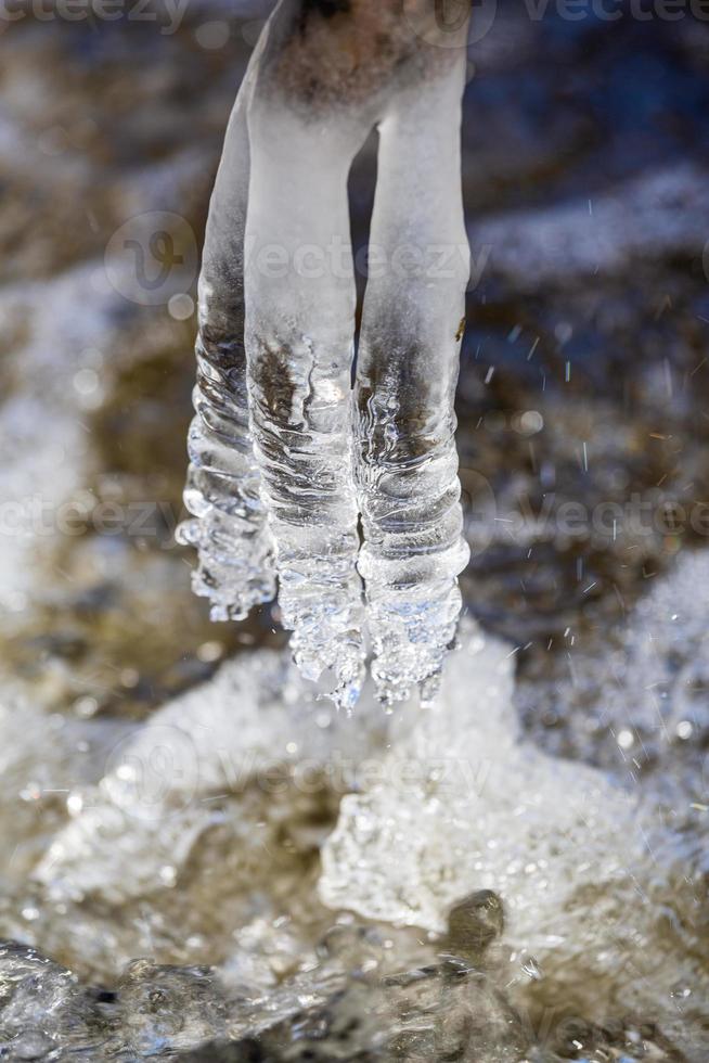 Icicles in a Small Forest River photo