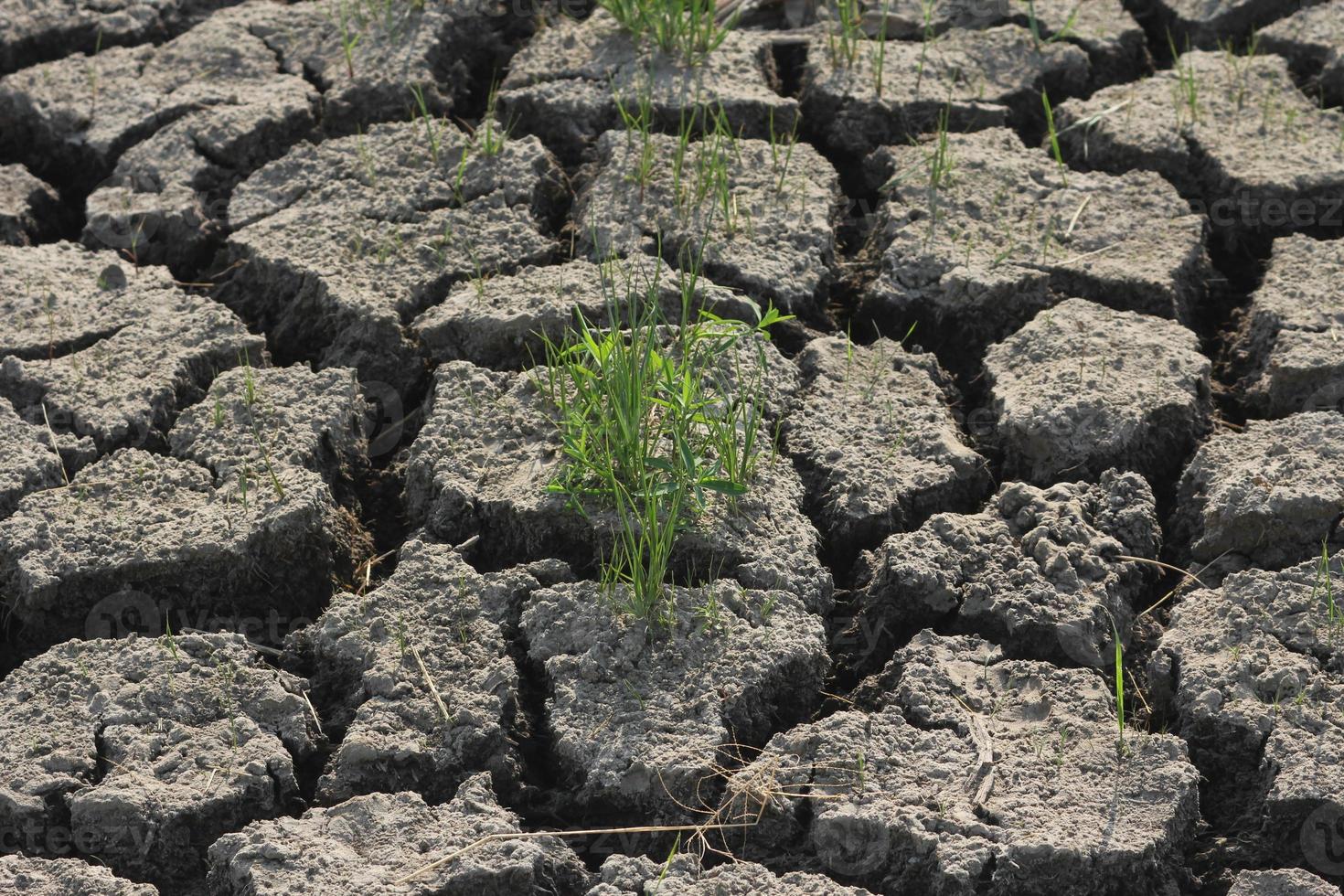 Soil drought conditions in Asian countries photo