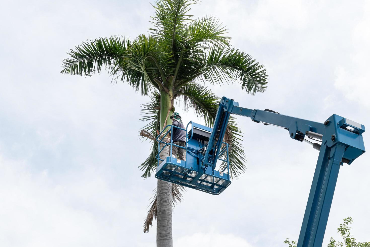 Gardener cutting branches on crane basket. unsafe concept photo