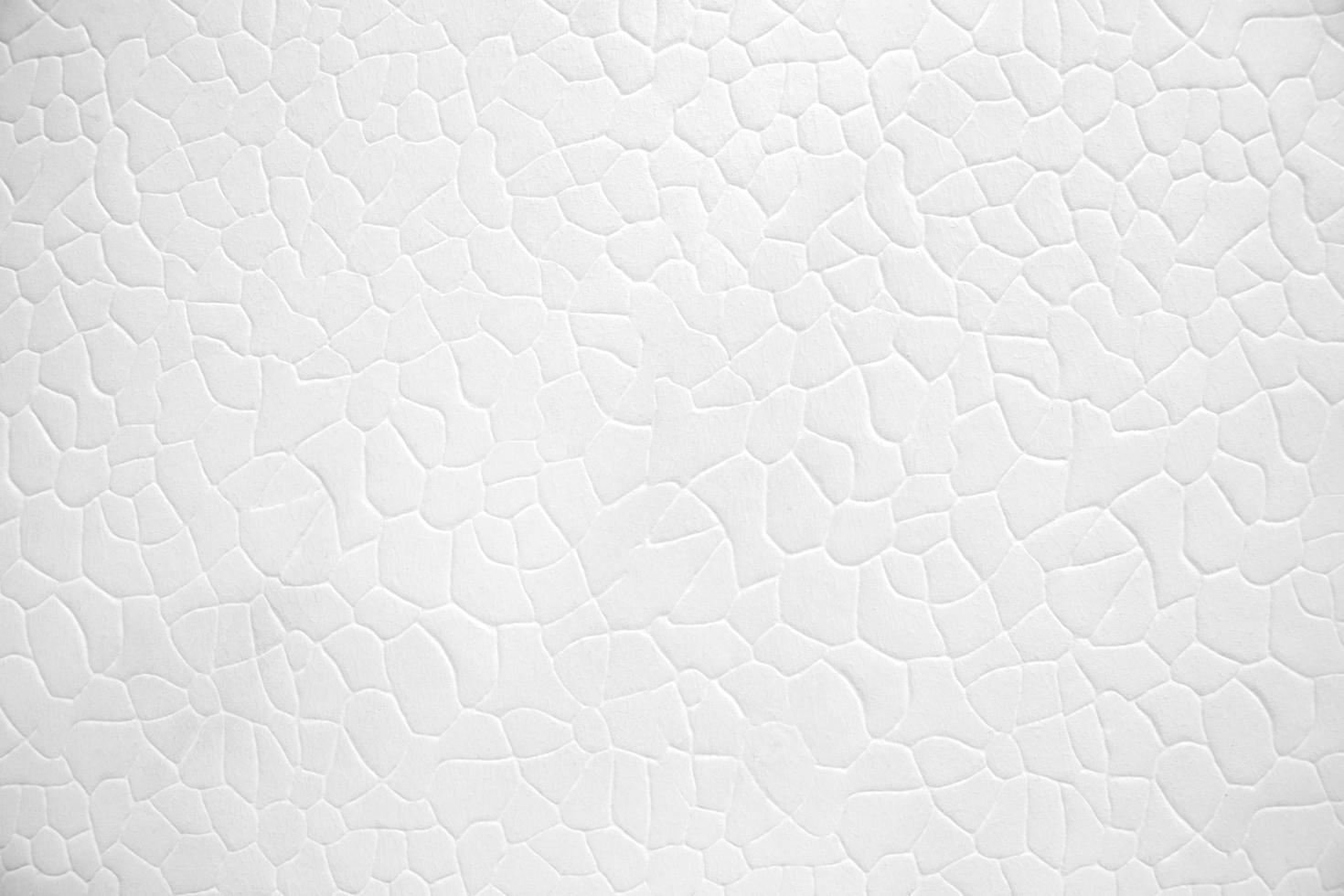 White texture cracked pattern background photo