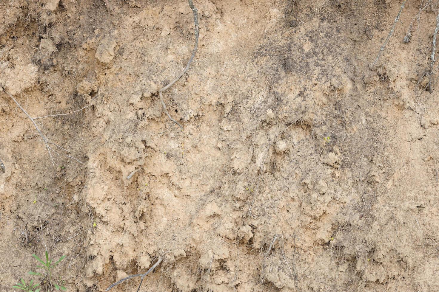 Abrupt bank river showing layers of plants, soil, sand rocks photo