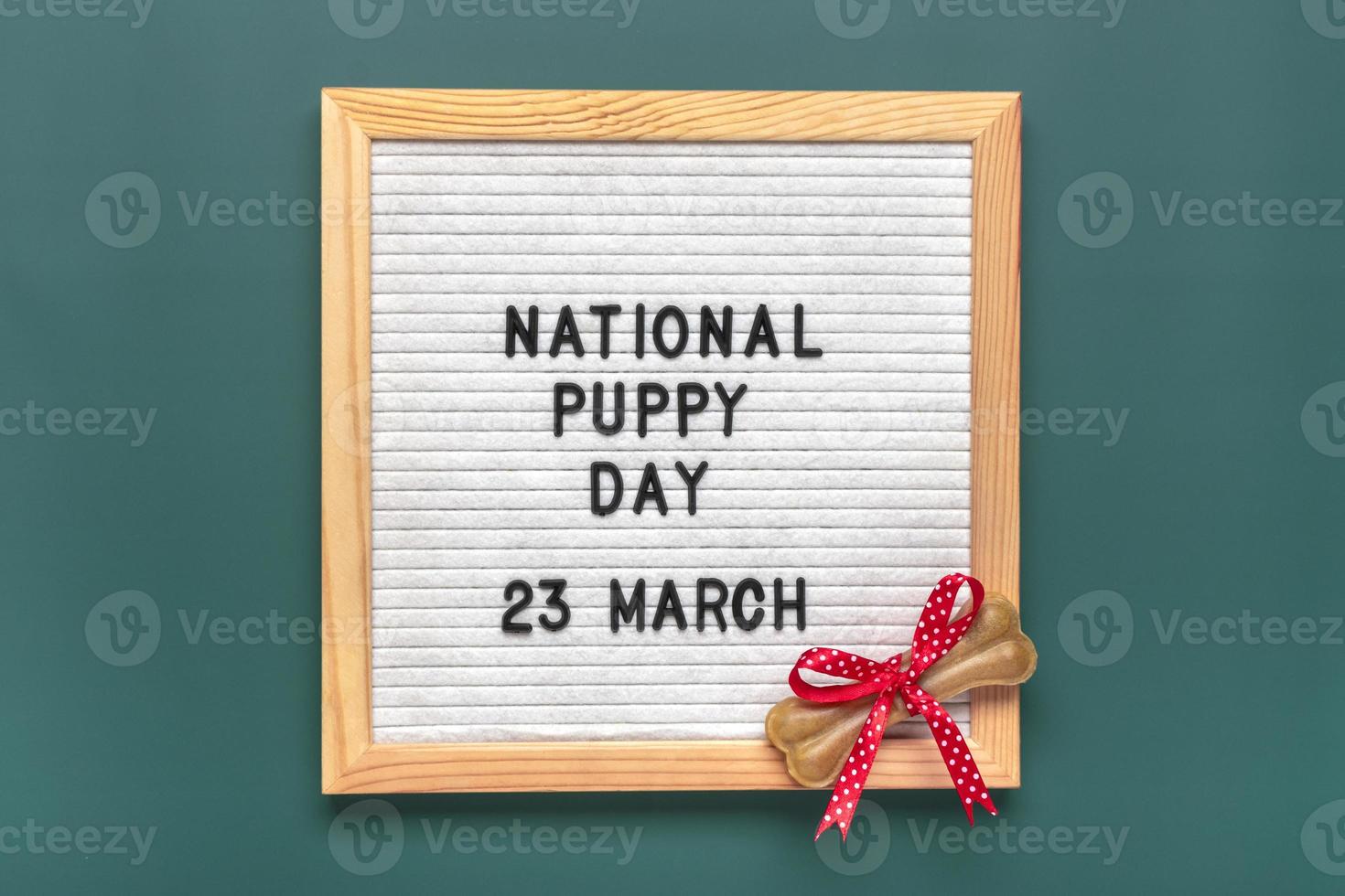 tablero de fieltro con texto día nacional del cachorro el 23 de marzo, accesorios para perros - hueso con lazo rojo sobre fondo verde vista superior plana tarjeta navideña foto